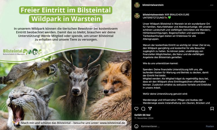 Social Media Marketing - Werbekampagne